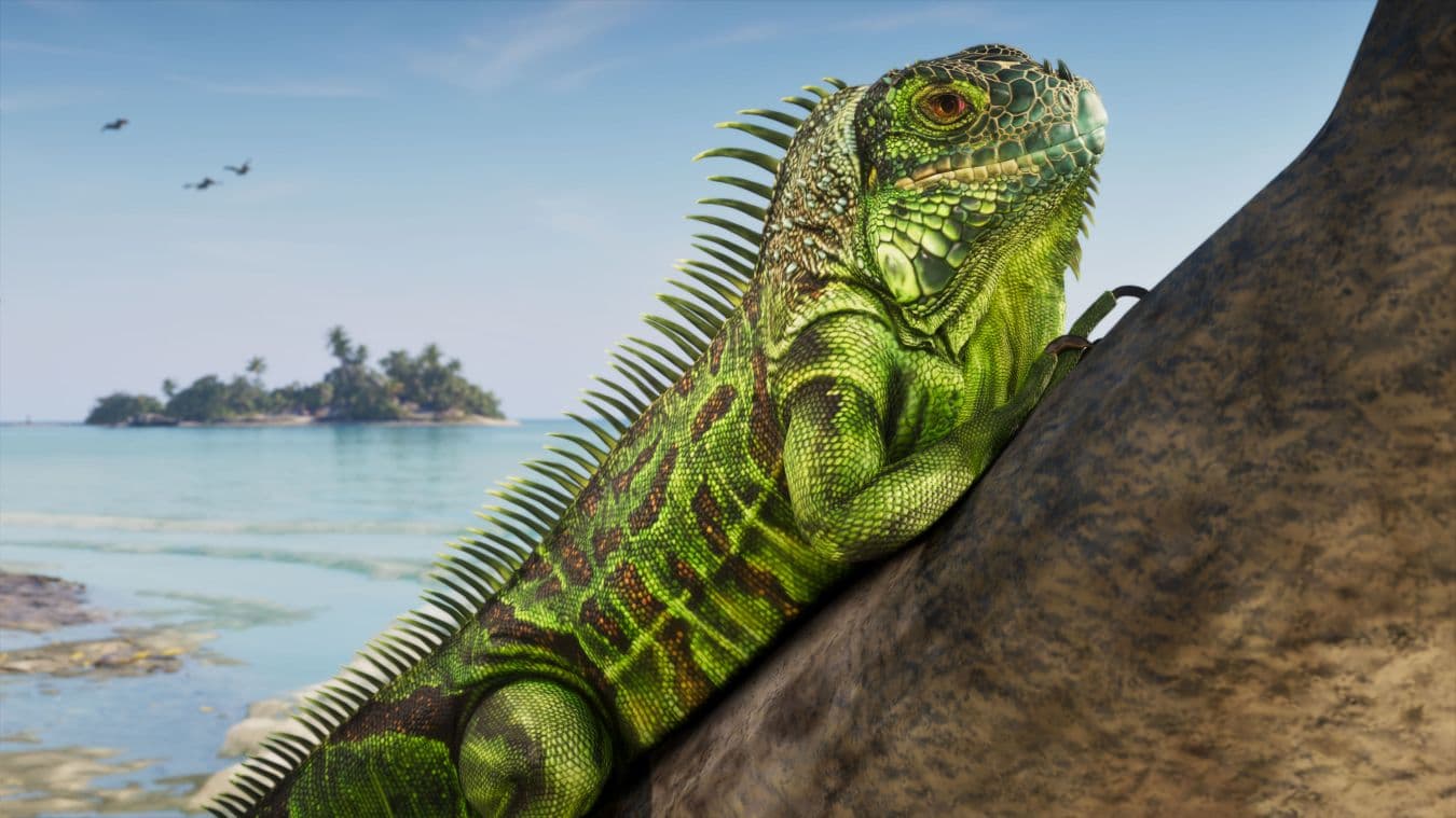 GTA 6 : animaux rares, météo réaliste… Rockstar promet un monde ouvert plus vivant que jamais